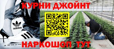 экстази Гай