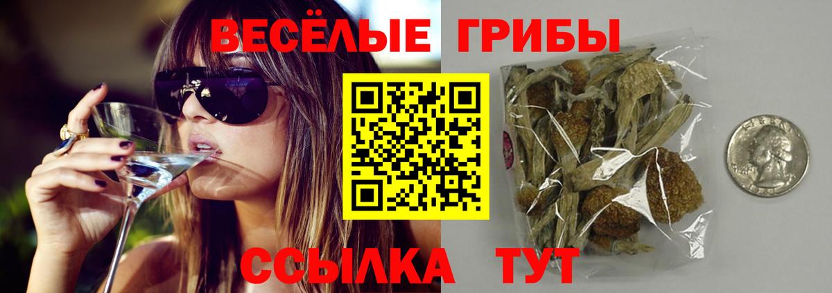 Галлюциногенные грибы Magic Shrooms  Галлюциногенные грибы Psilocybe  Новоалтайск  Вход с VPN 